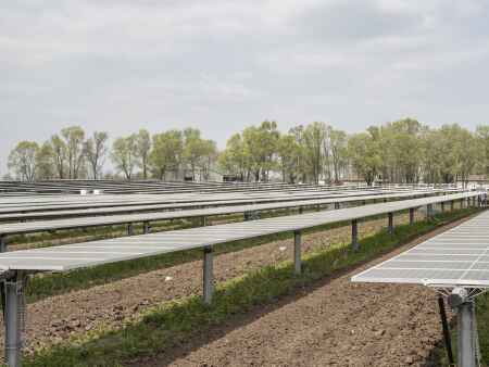 It’s official: Linn adopts moratorium on industrial solar projects