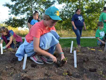 4-H youth help plant pollinator garden