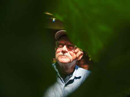 Iowa City man nurtures tree canopy in College Hill