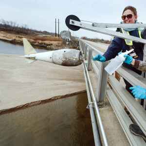Is the Cedar River still impaired for nitrate?