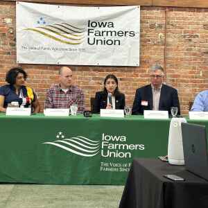 Is Koch purchase of Iowa Fertilizer Co. anticompetitive?