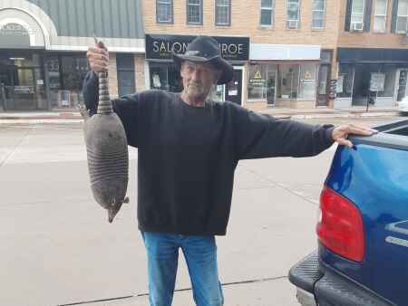 Rome man finds armadillo along old Highway 34